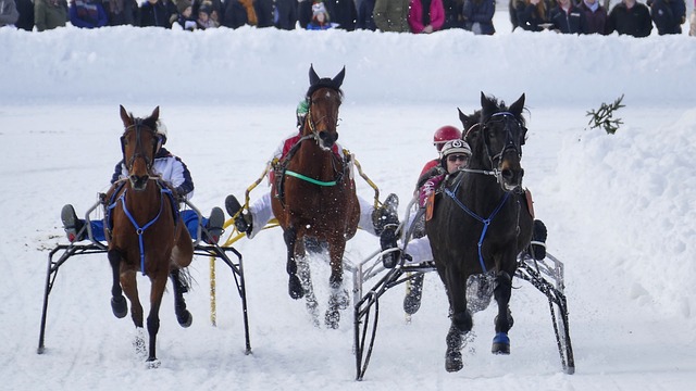 毫无竞争性 毫无竞争性