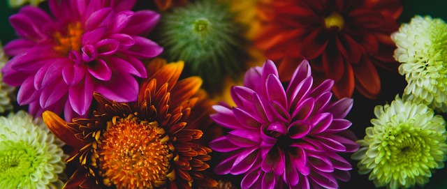 主裁判安排 主裁判安排