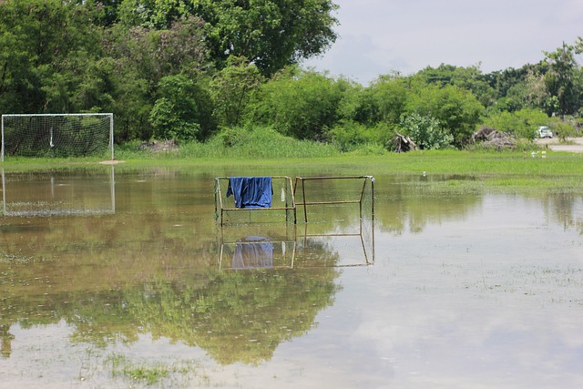 基本水准 基本水准