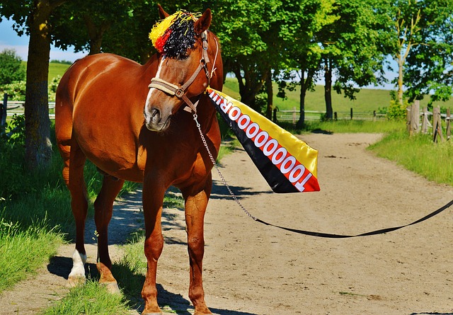 那么这样的 那么这样的