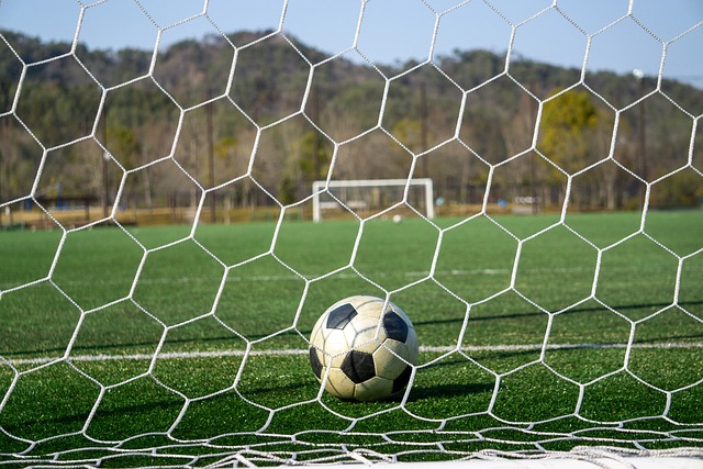 彰显其辉煌 彰显其辉煌