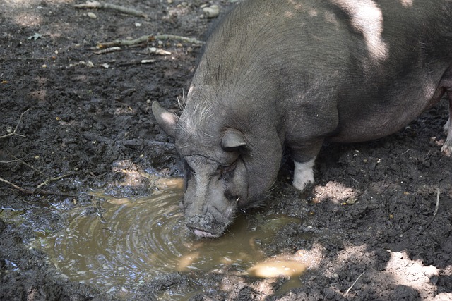 11岁男孩获评国家一级运动员!.