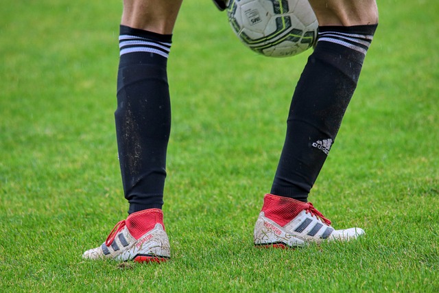 对比显而易 对比显而易