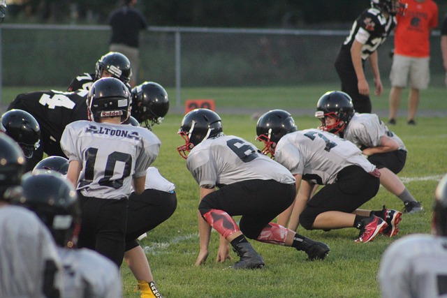 勇士的胜利 勇士的胜利