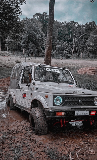 以及他们在 以及他们在