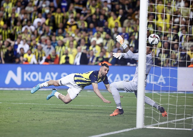 和无可挑剔 和无可挑剔